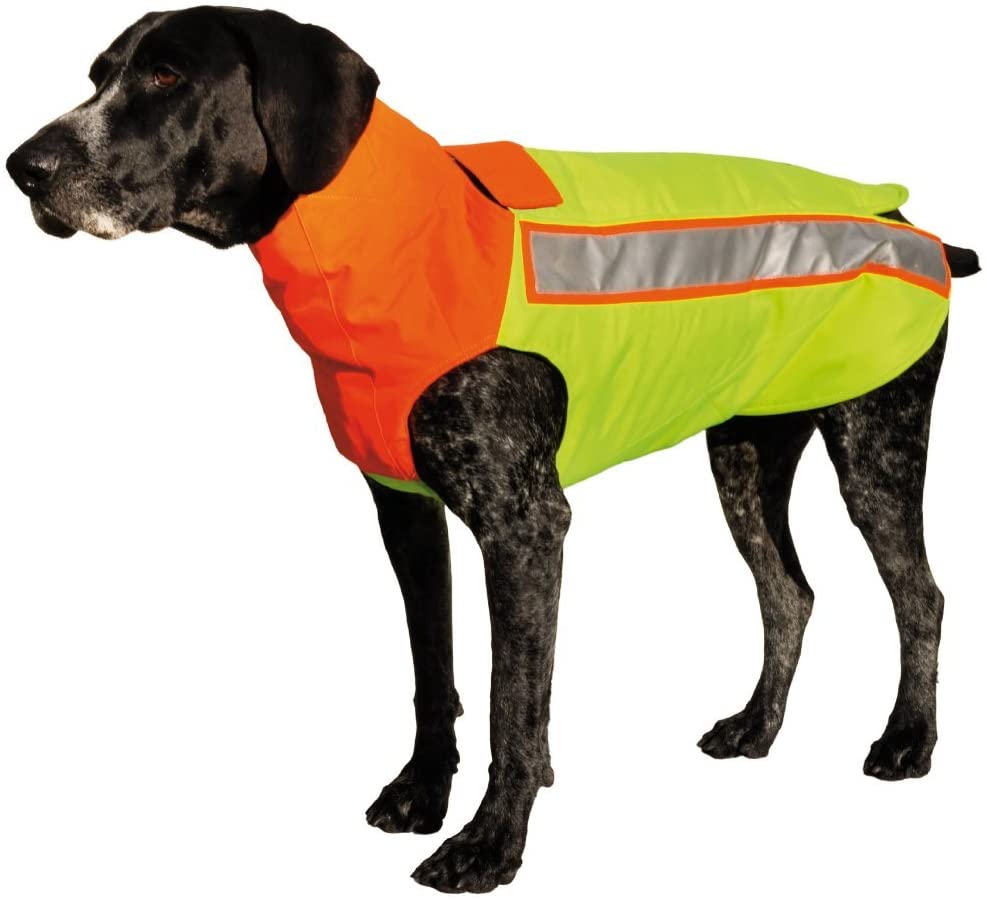 Жилет для собаки